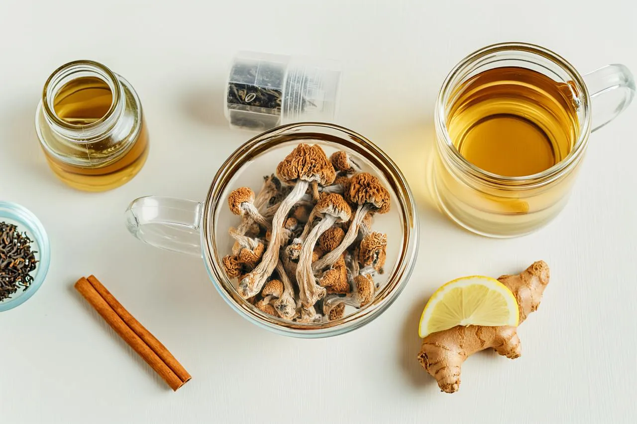 mushroom tea ingredients